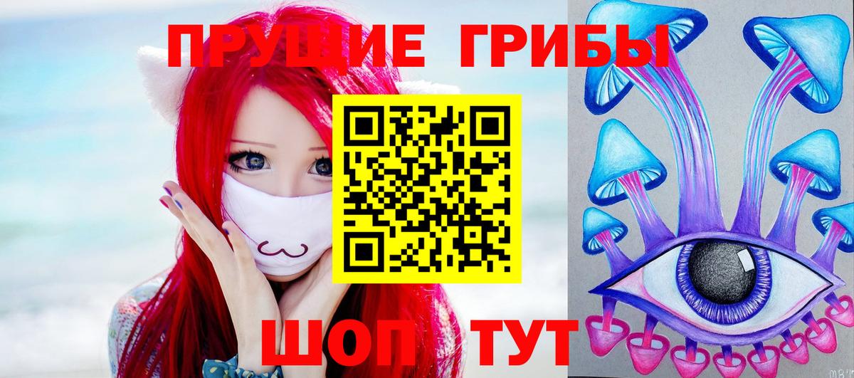 Верхняя Салда  Псилоцибиновые грибы прущие грибы  Вход с VPN 